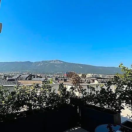 Hotel Blue Star Luxury